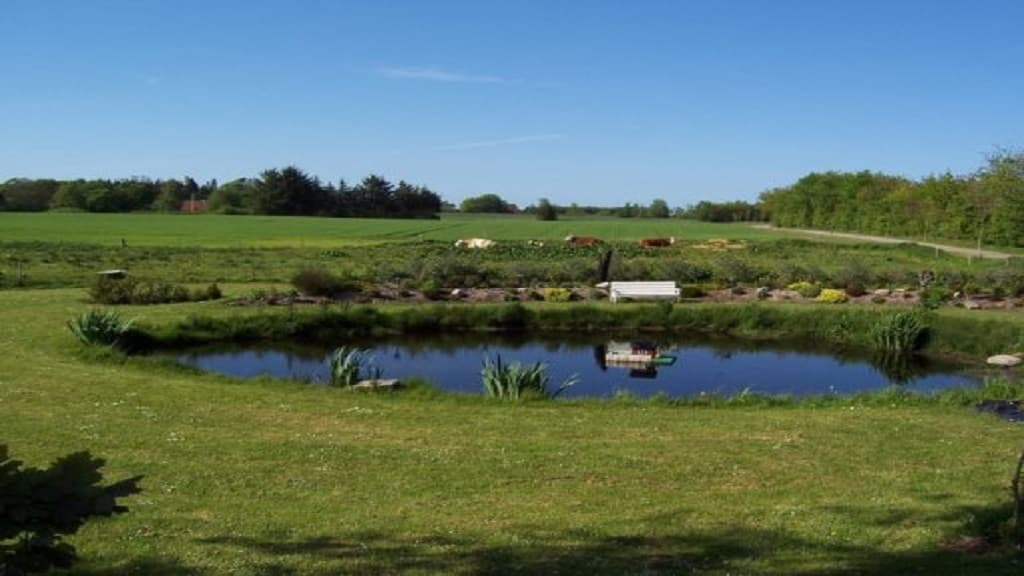 Farm Camping Ny Vestermark