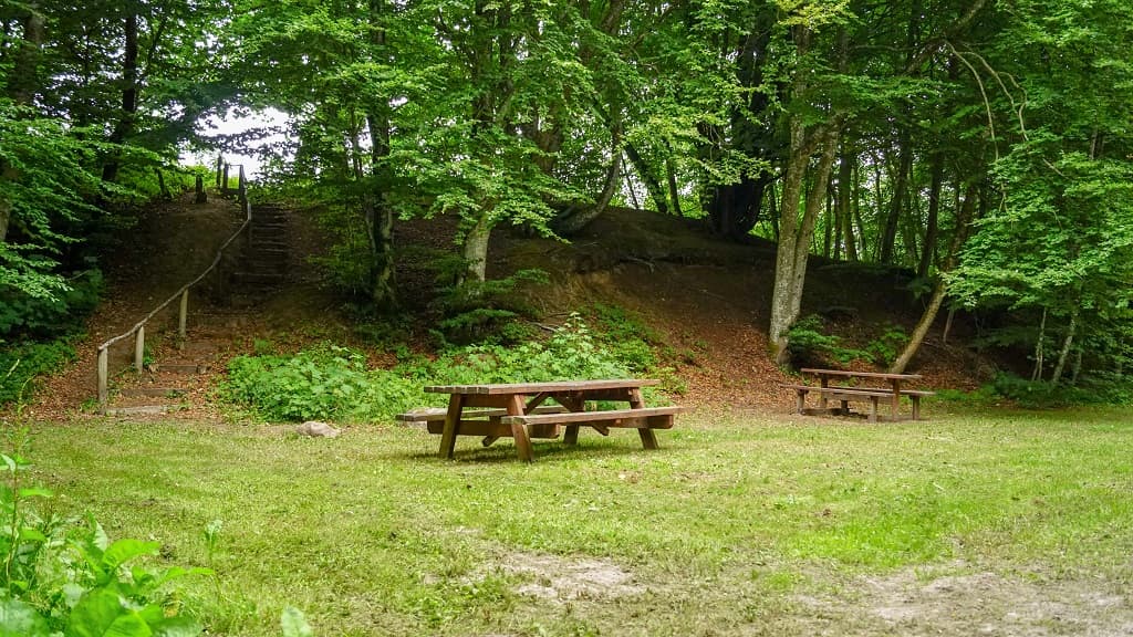 Pajhede Forest and Nymølle Brook