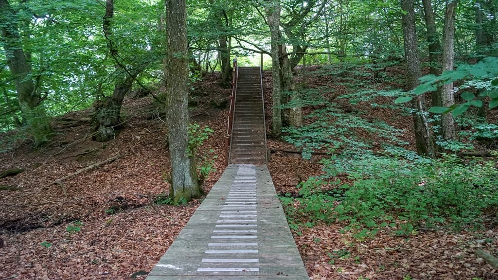 Søheden Forest Complex