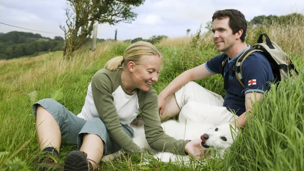 Dog walking forest - Hjallerup