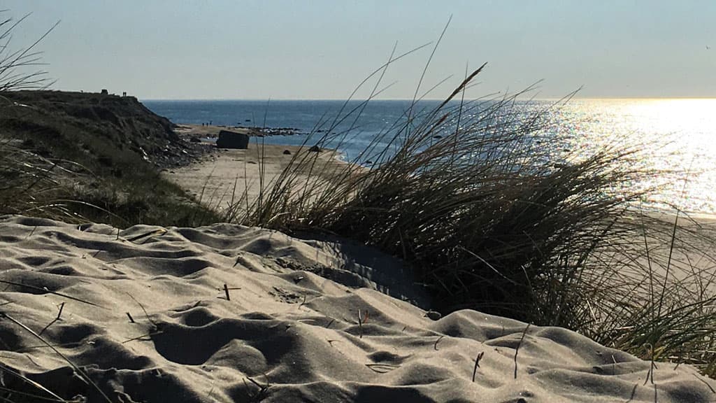 Husmoderstranden (beach)