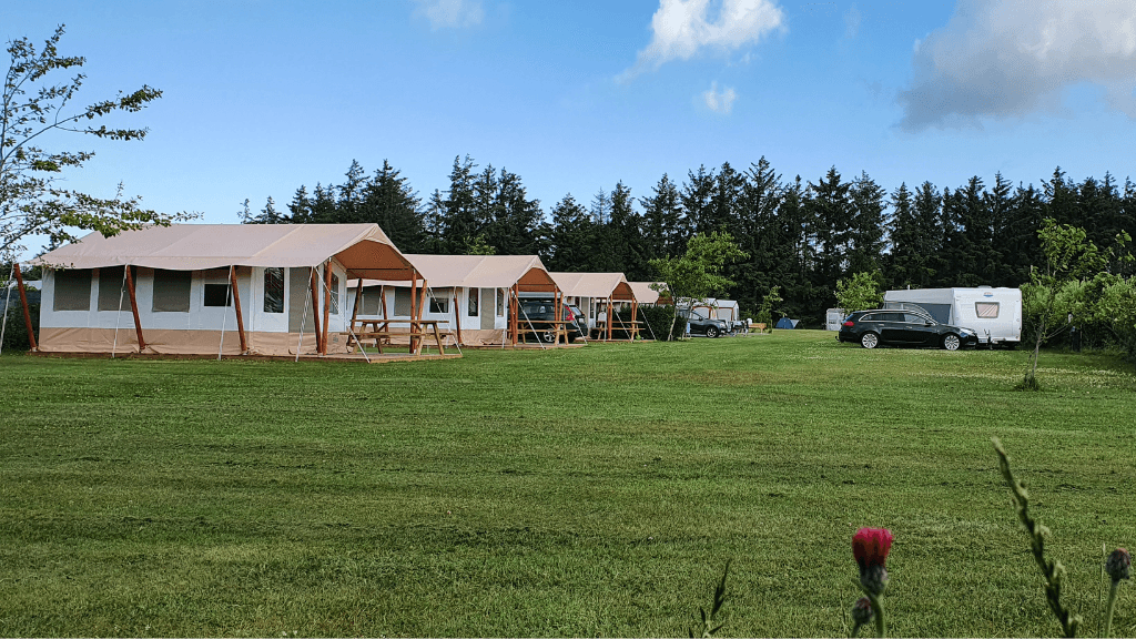 Tornby Camping