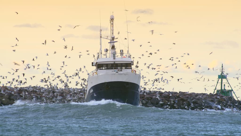 Port of Hirtshals