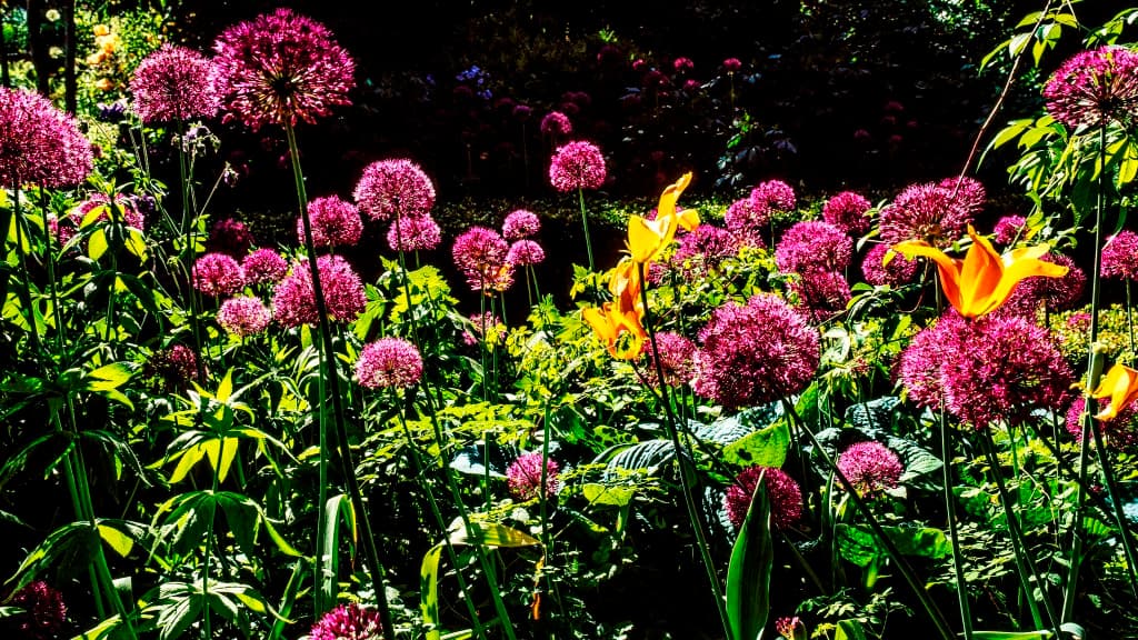 Anne Justs Have - the Garden at Hune