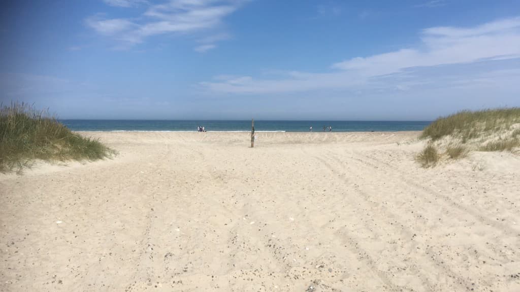 Grønnestrand