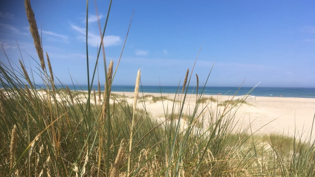 Kollerup Beach