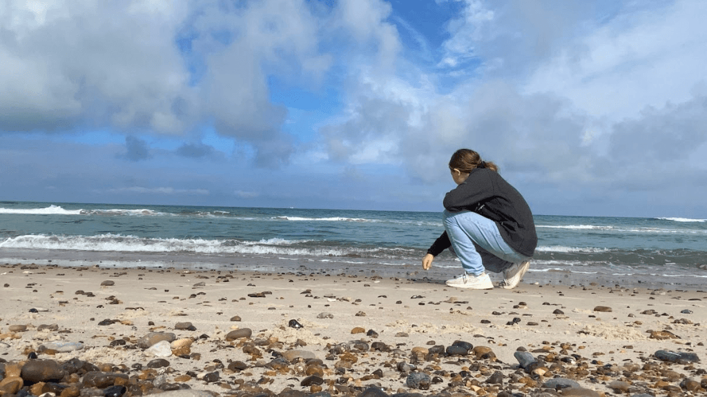 Svinkløv Camping