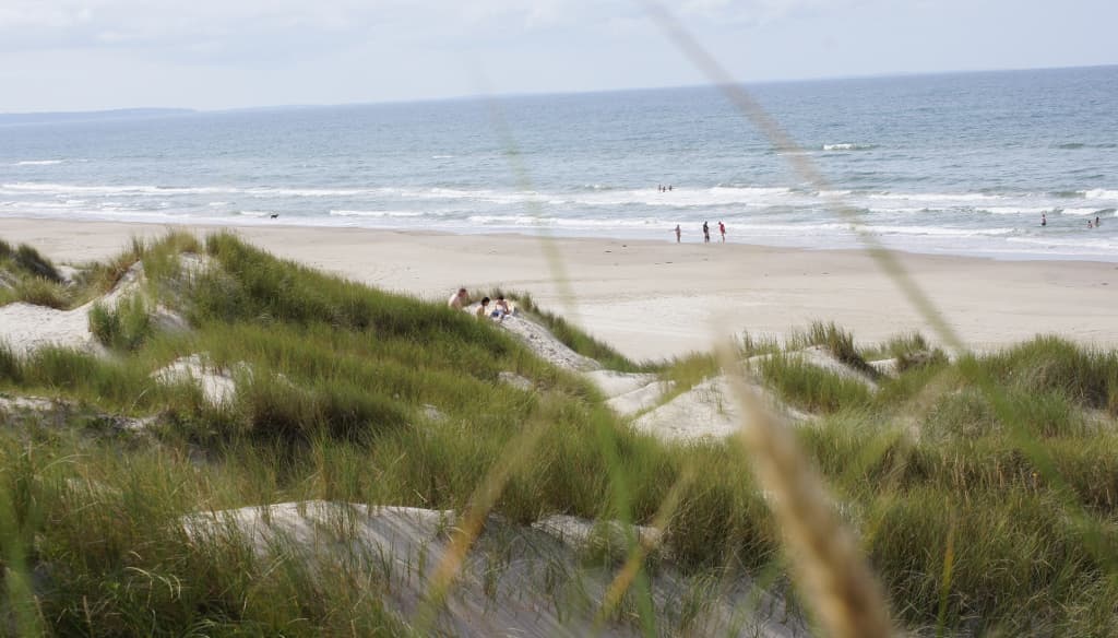 Blokhus Beach