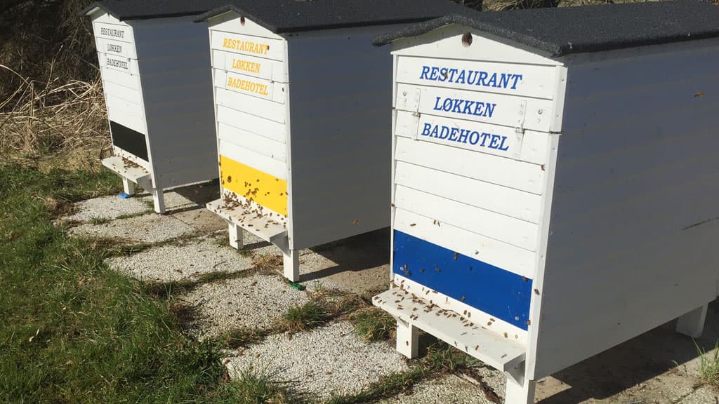 Restaurant Løkken Badehotel