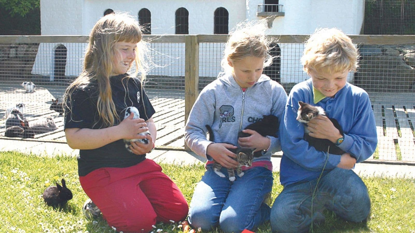 Family Farm FUN Park