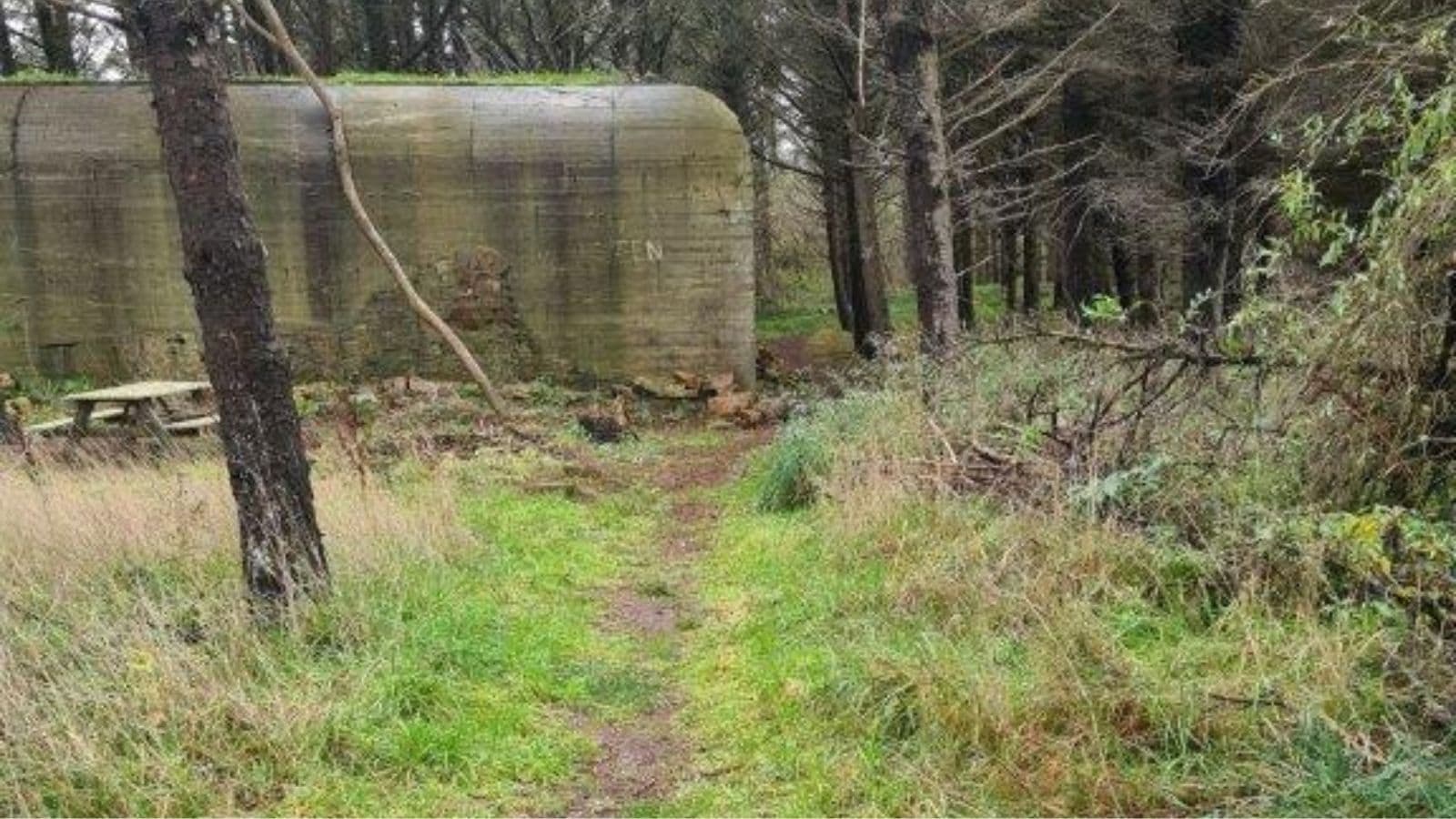 The bunkers in Løkken and surroundings