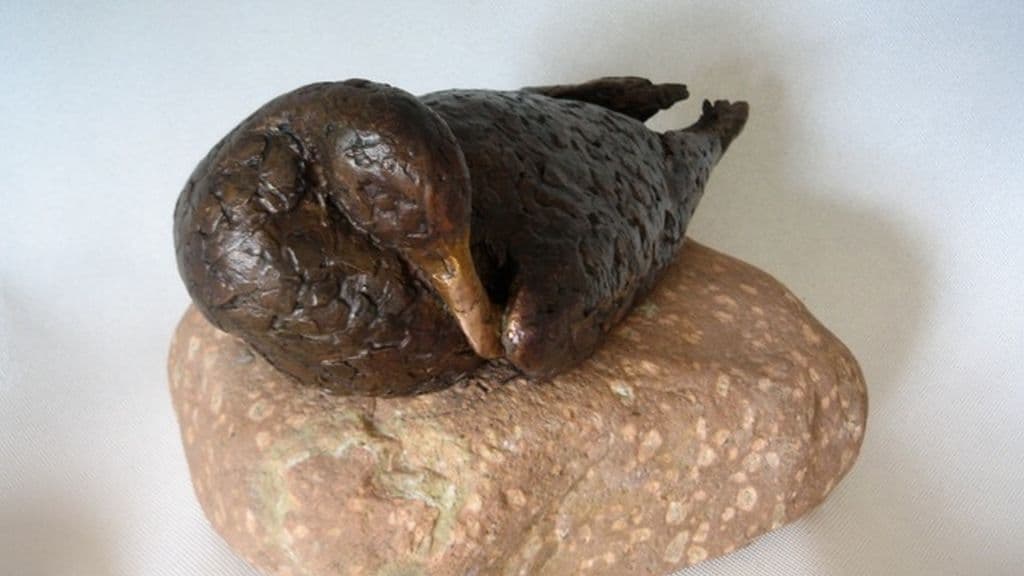 PondCottage Art