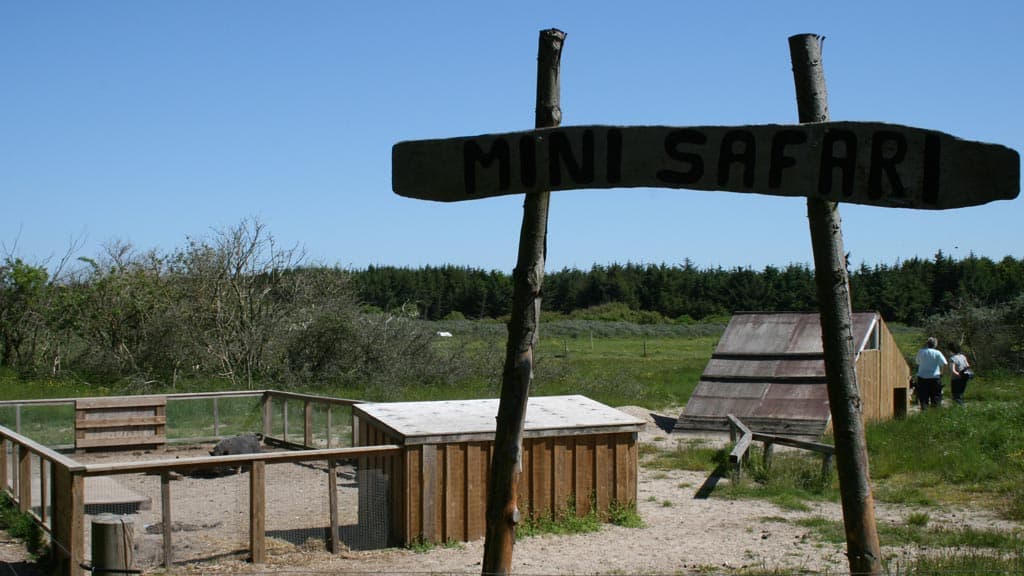 Gl. Klitgaard Camping & Hytteby 