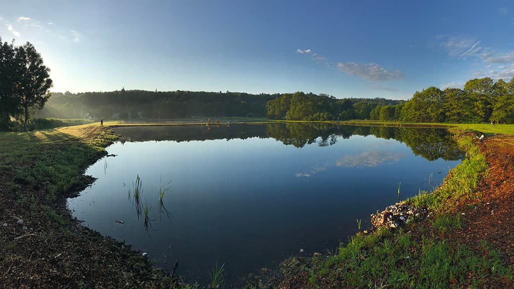 Buderupholm fiskesøer (Fishing lakes)