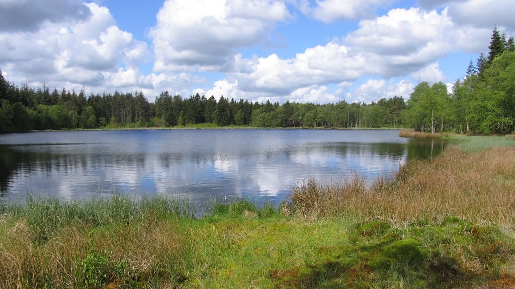 Mossø