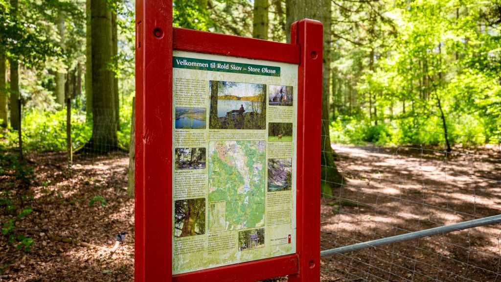 The Forest Garden of Jutland