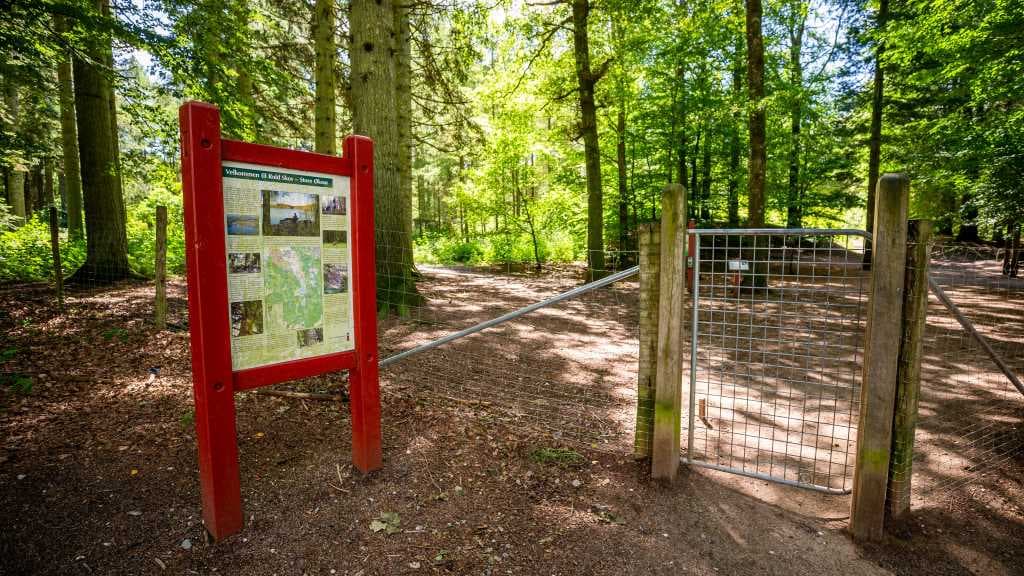 The Forest Garden of Jutland