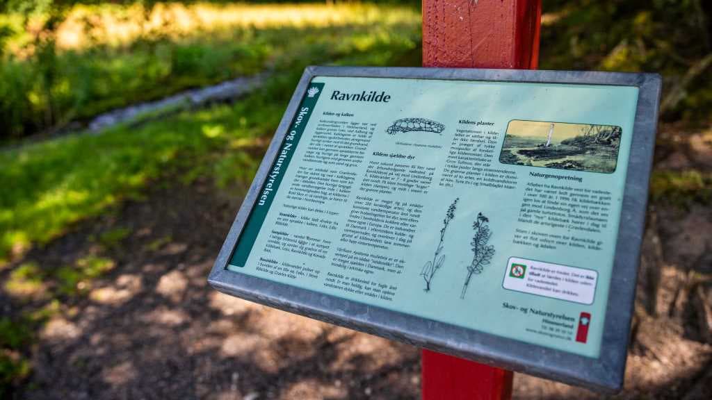 Ravnkilde