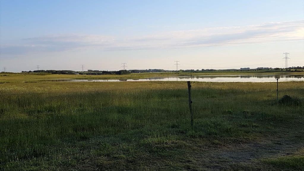 Juelstrup Sø