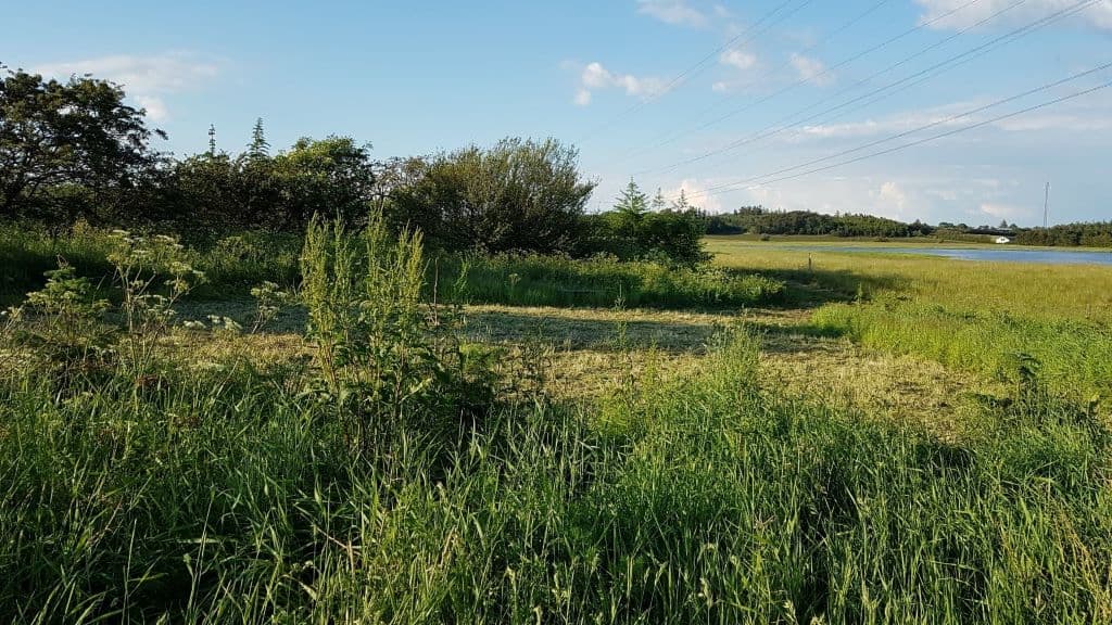 Juelstrup Sø