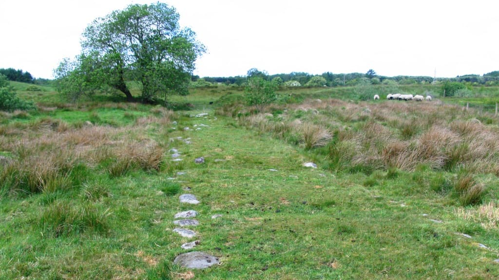The Fort of Borremose