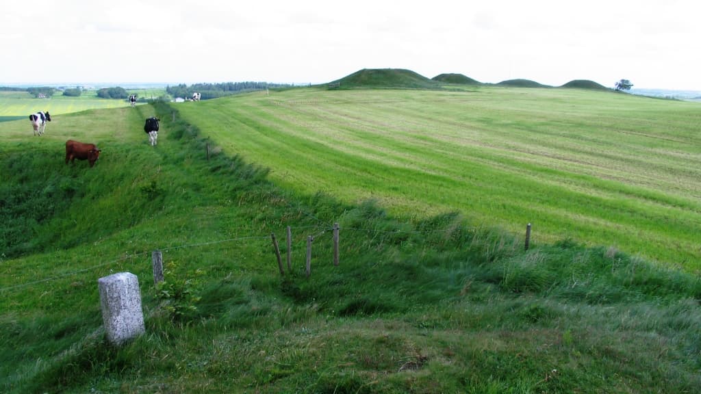 The Burial mounds, Frendrup Nihøje
