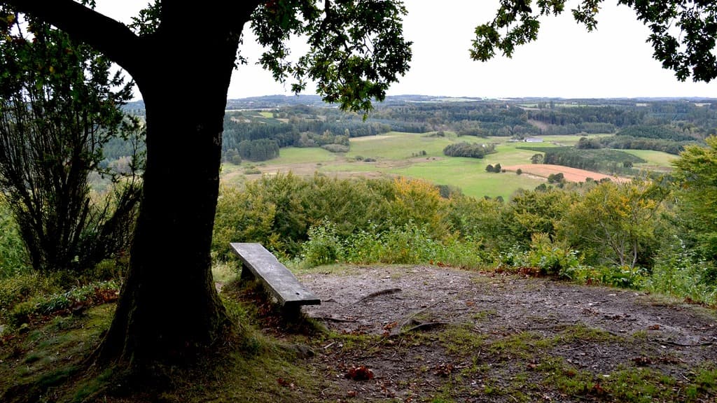 Velling Forests