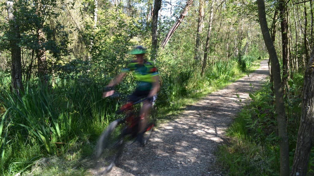 Ørnsø Weg