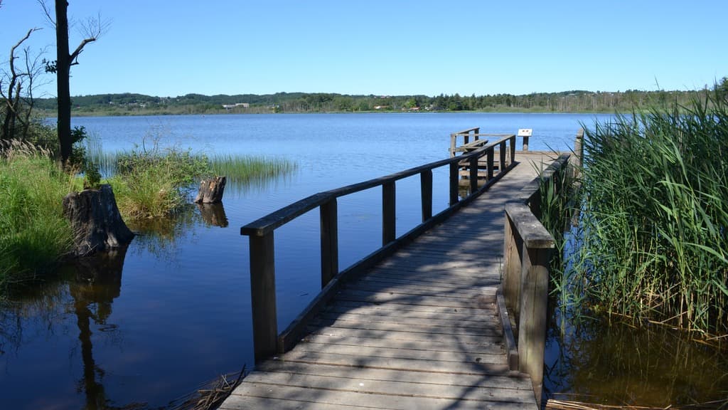 Ørnsø