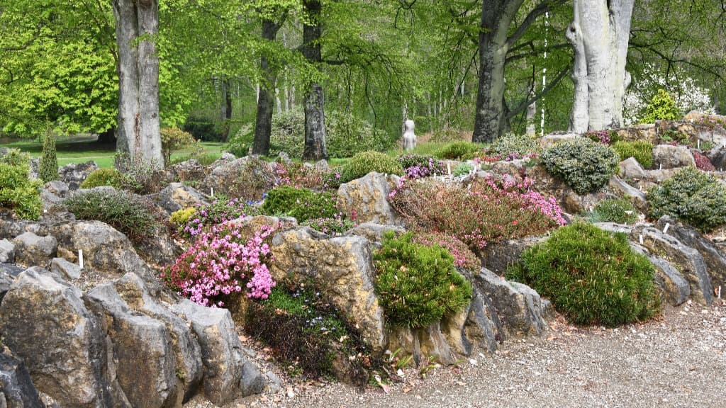 The Crevice Garden, Bangsbo botaniske have