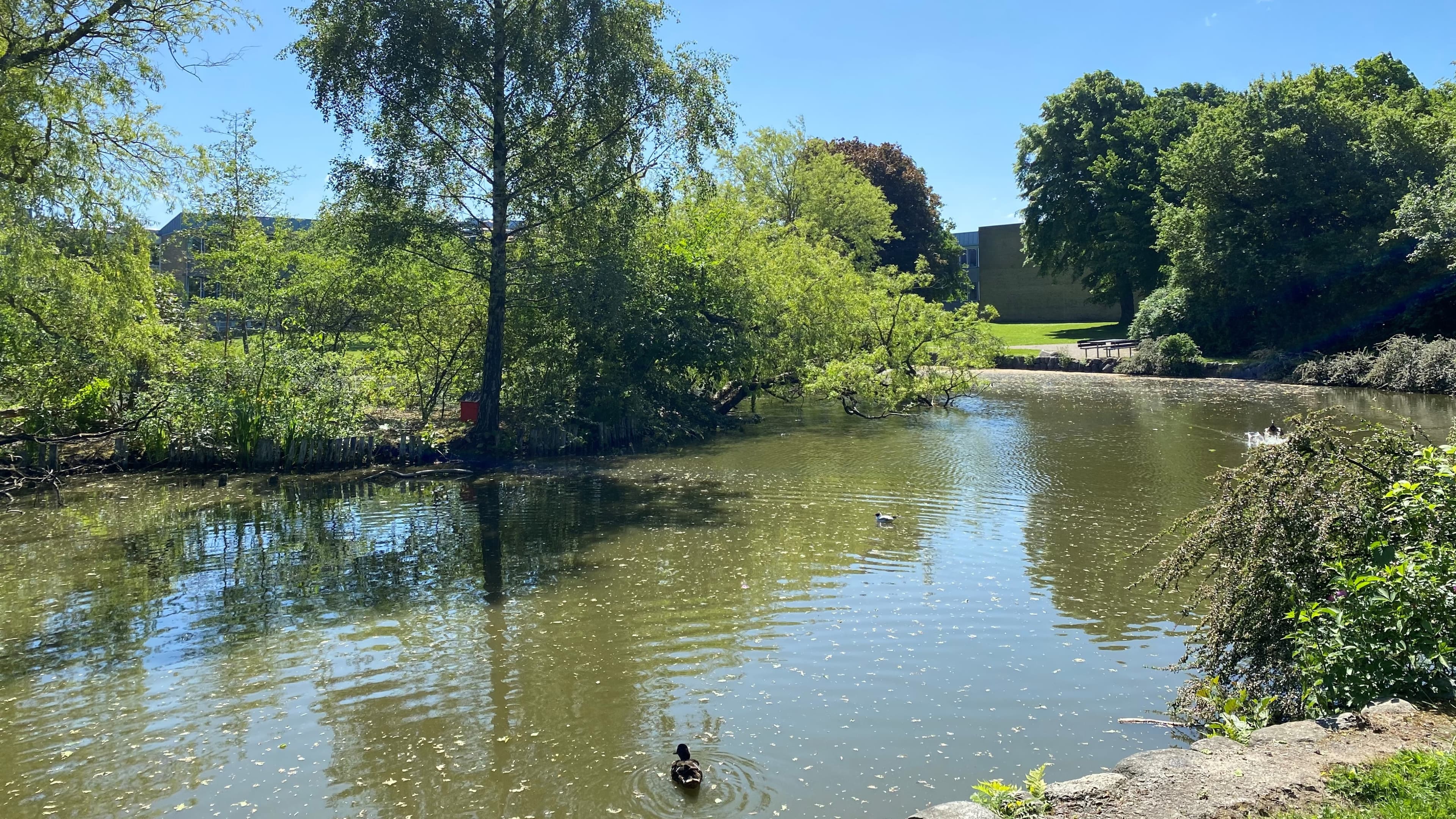 Kennedy Parken