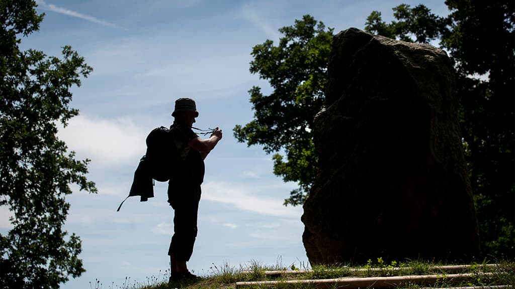 Reunification stone at Skibelund Krat