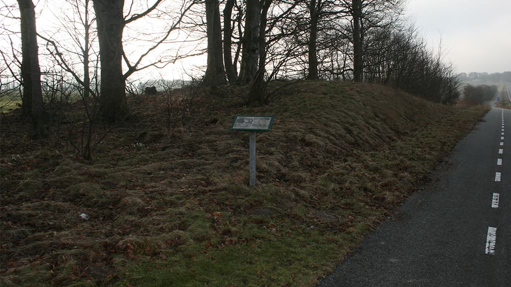 Mannehøj, Asbo
