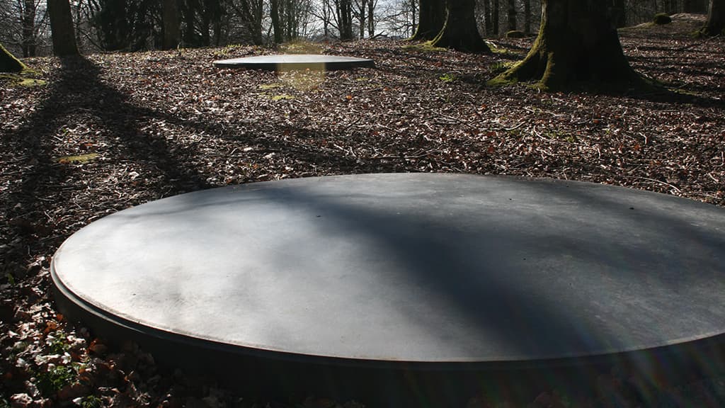 Lenticula at Skibeund Krat