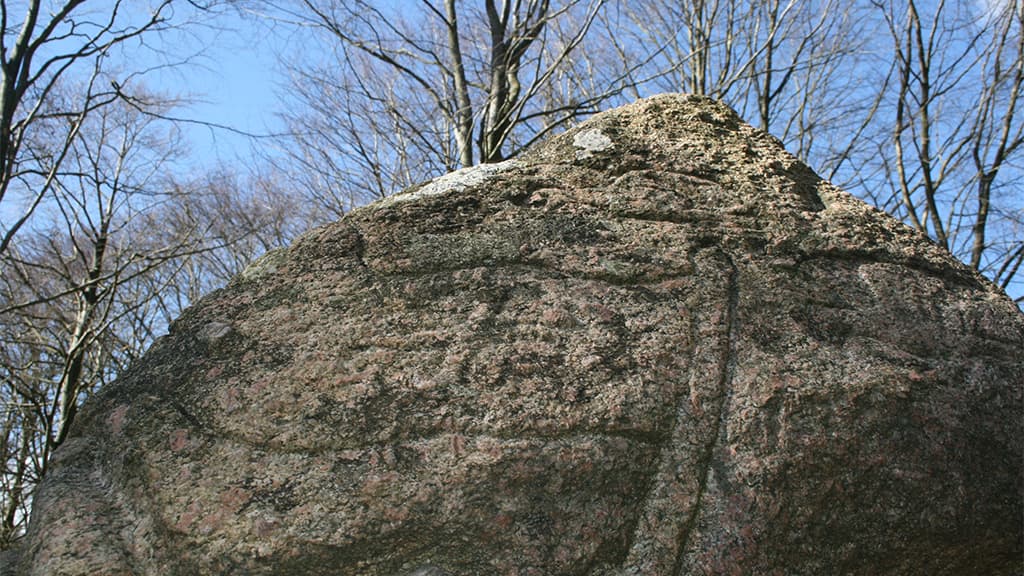 The “Magnusstenen” monument at Skibelund Krat