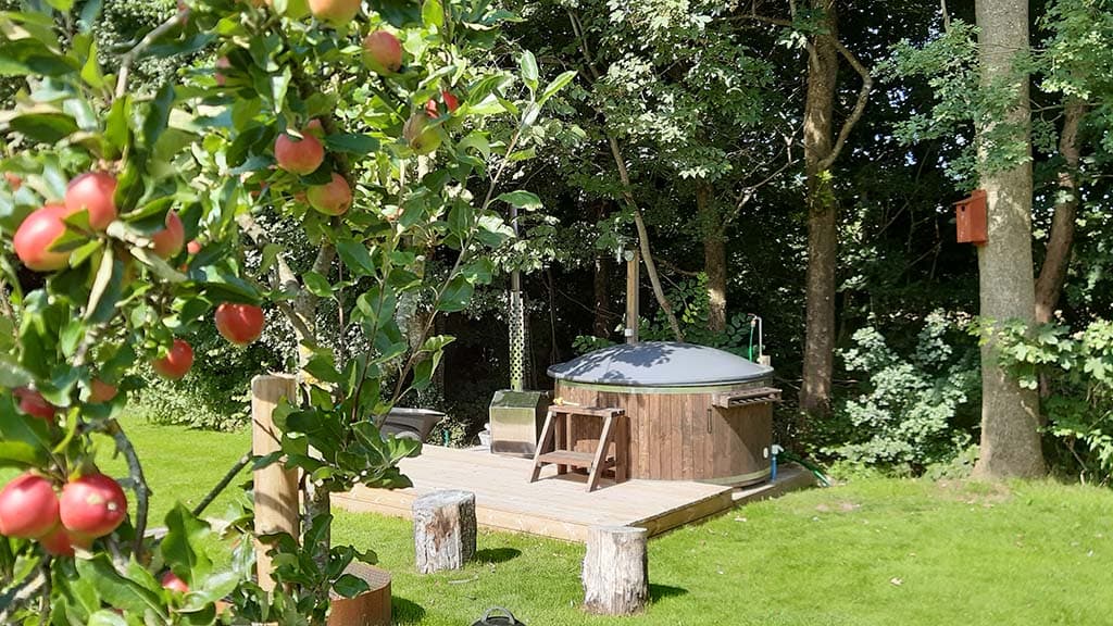 Hytten Belle, Agnes B&B, Bække