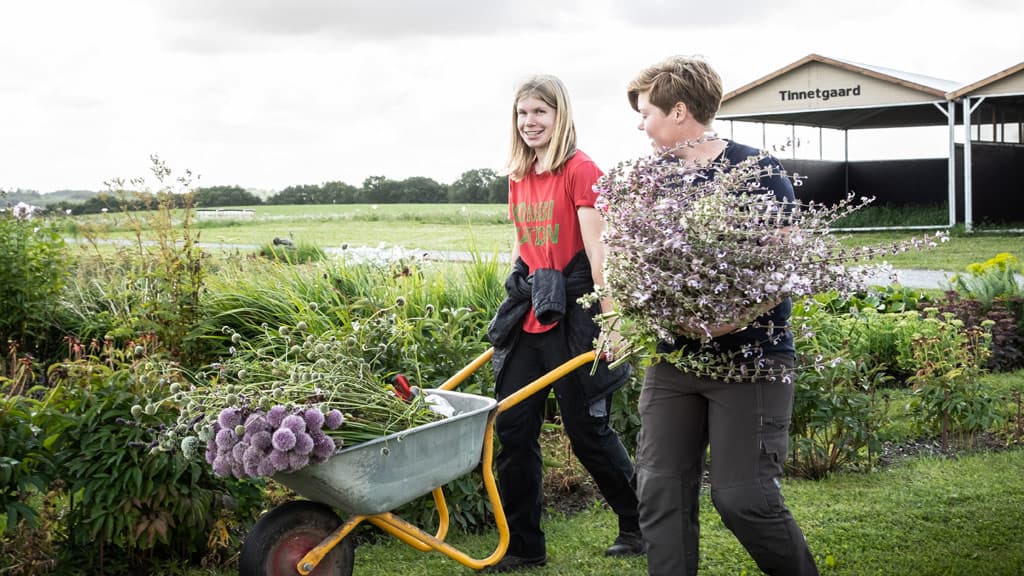 Tinnetgaard – farm shop and open farm
