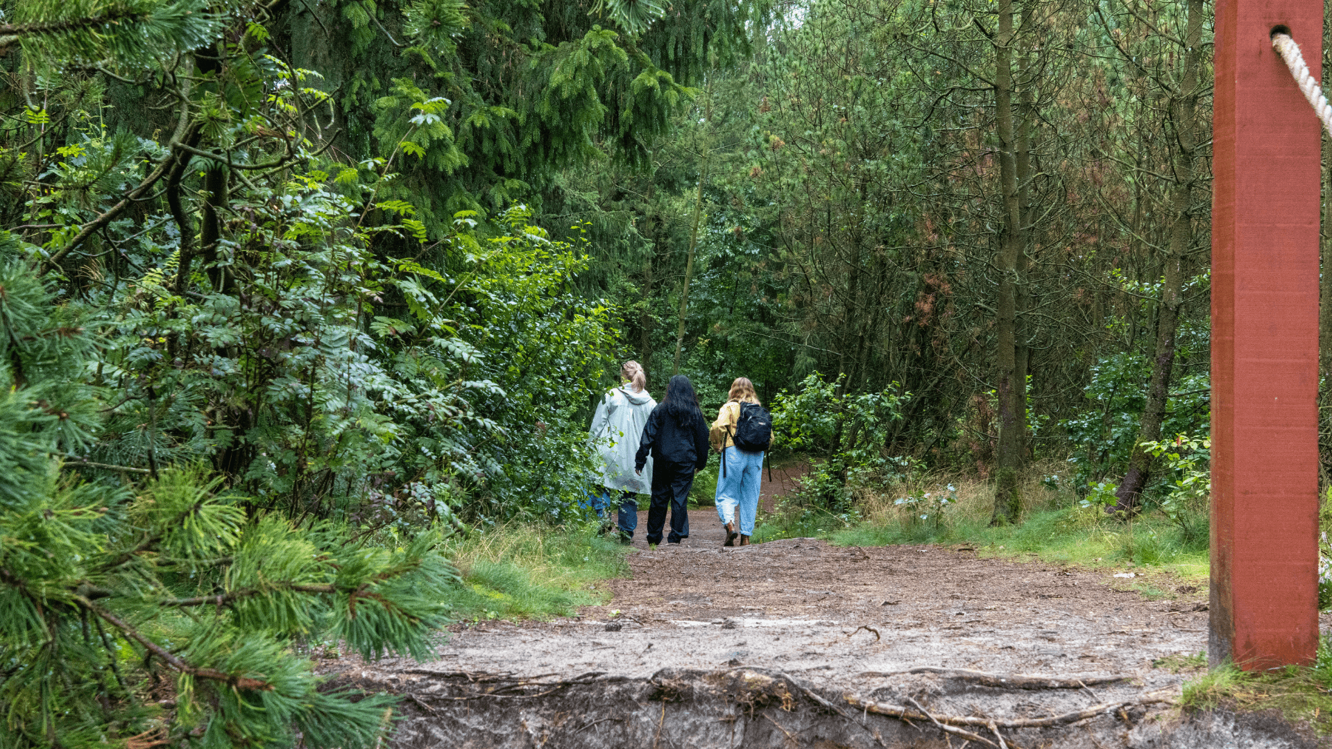 Frederikshåb Plantation