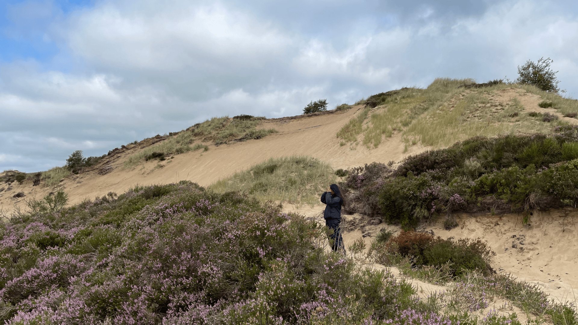 Heaths of Randbøl