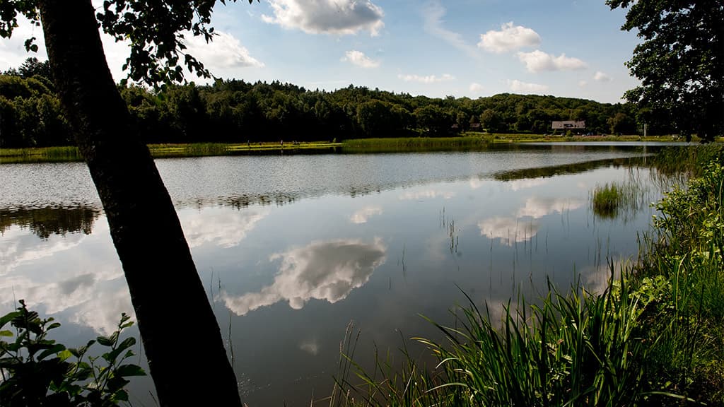 Rørbæk Lake, Tinnet Krat and the Gudenåen spring