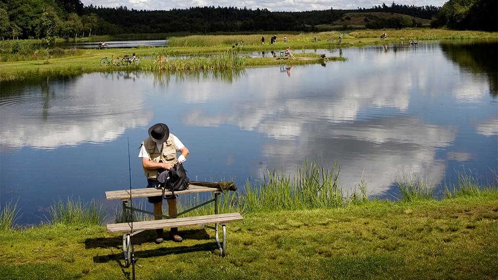 Rørbæk Lake, Tinnet Krat and the Gudenåen spring