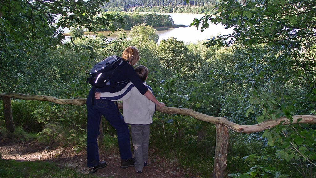 Rørbæk Lake, Tinnet Krat and the Gudenåen spring