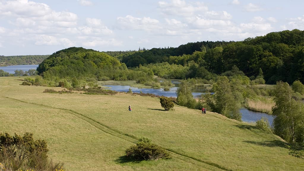 Rørbæk Lake, Tinnet Krat and the Gudenåen spring