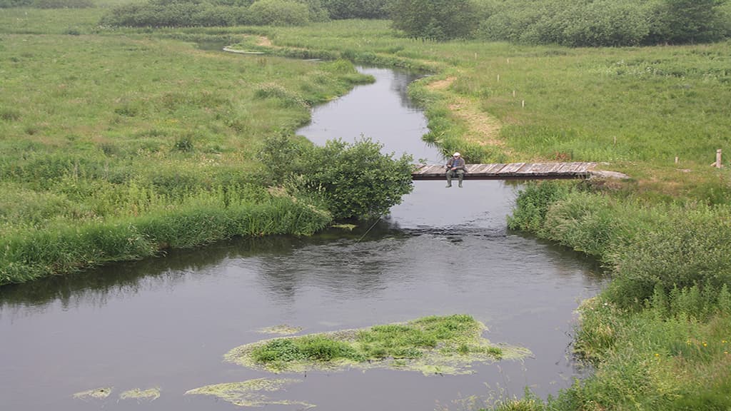 Simested Creek