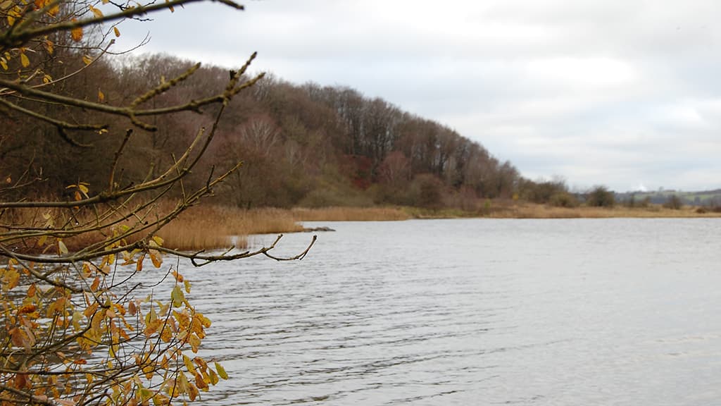 Angelorte, Strandholt Pynt