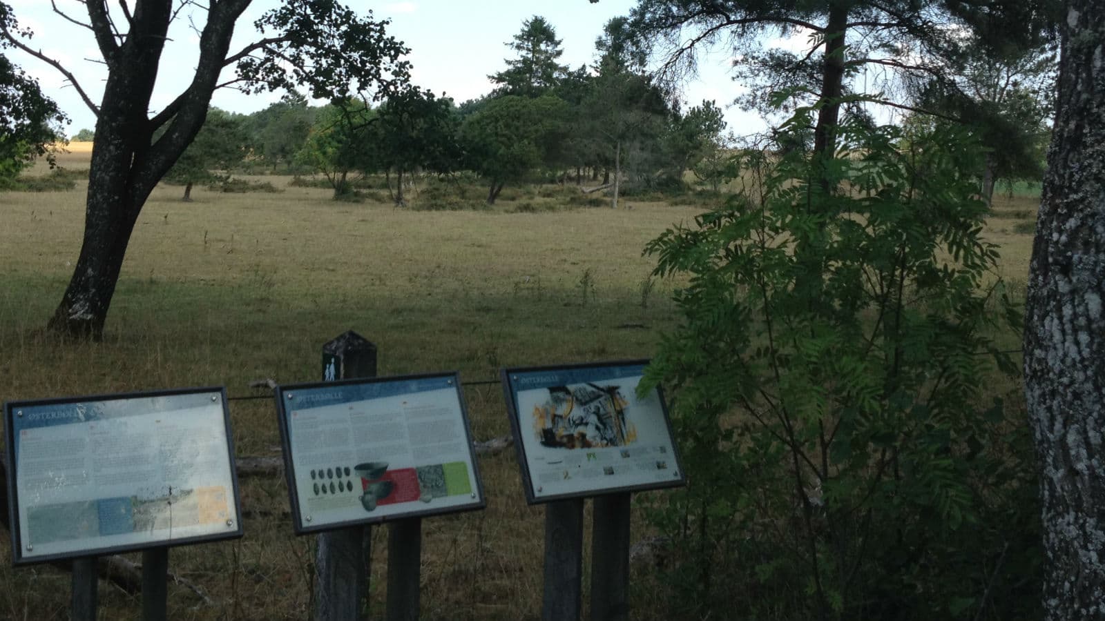 Østerbølle Oldtidsboplads (Prehistoric Iron Age Village)