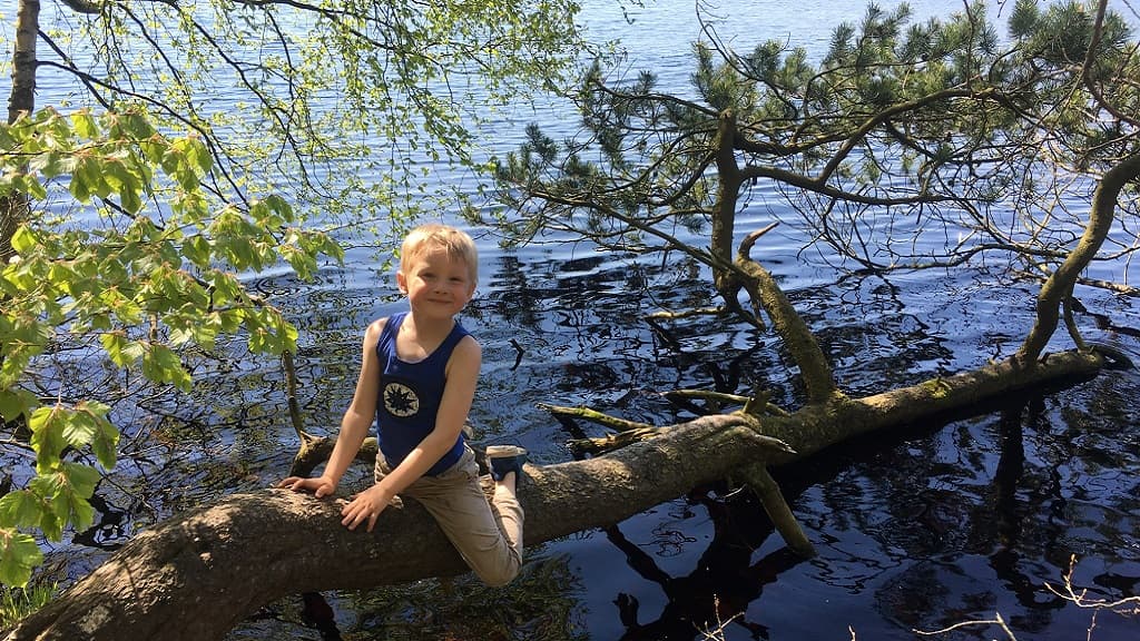 Rold Skov