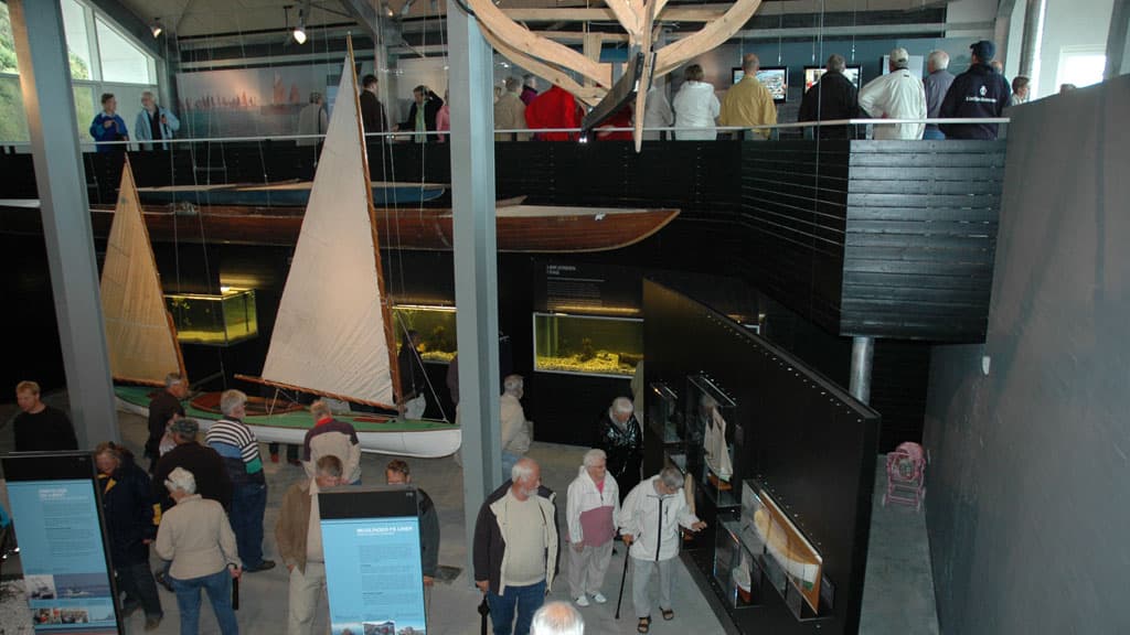 The Limfjord Museum