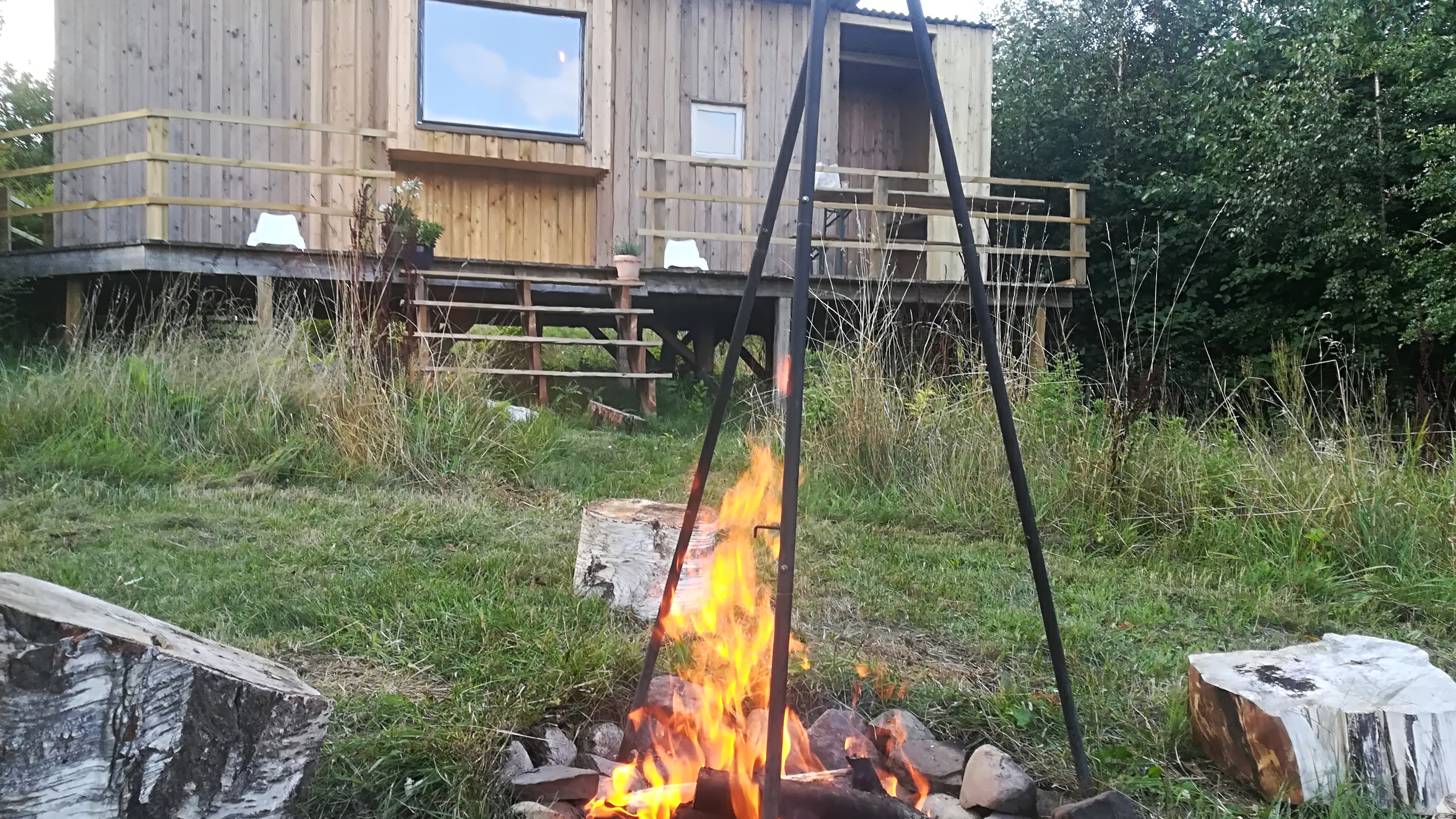 Kattholt v/ Viborg