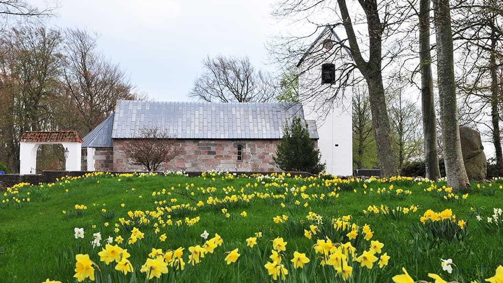 Tjele Kirke